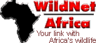 WildNet Africa Home Page